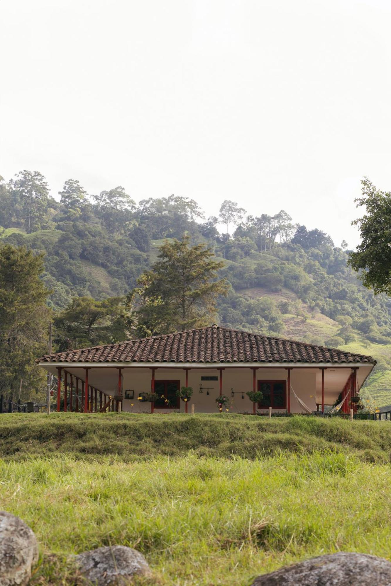 La Cabana Ecohotel - Valle Del Cocora Саленто Екстер'єр фото