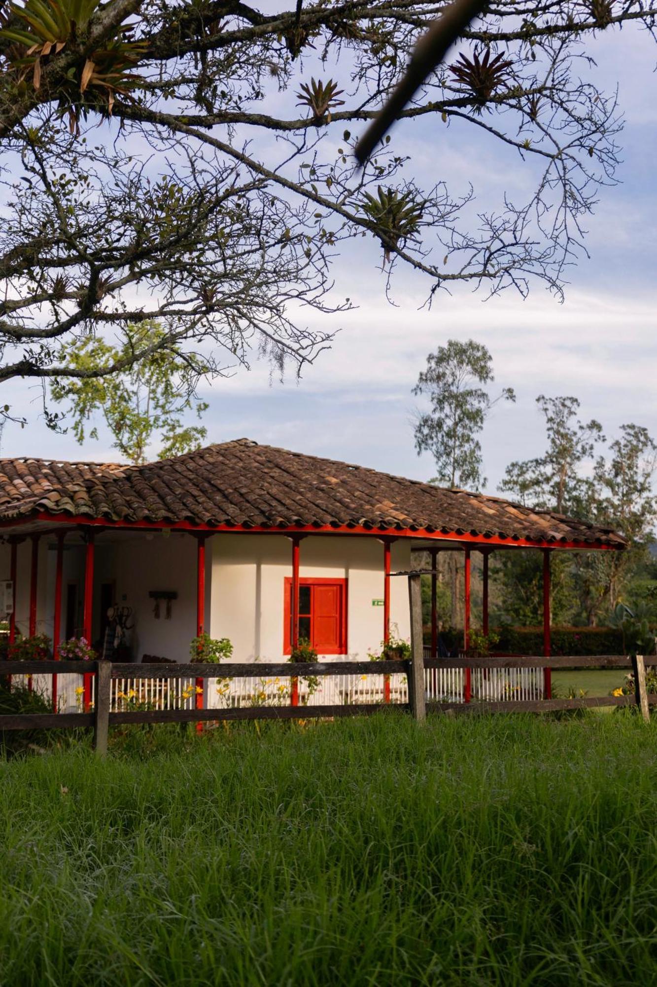 La Cabana Ecohotel - Valle Del Cocora Саленто Екстер'єр фото