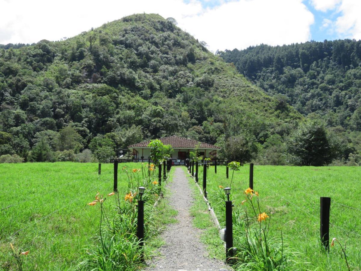 La Cabana Ecohotel - Valle Del Cocora Саленто Екстер'єр фото